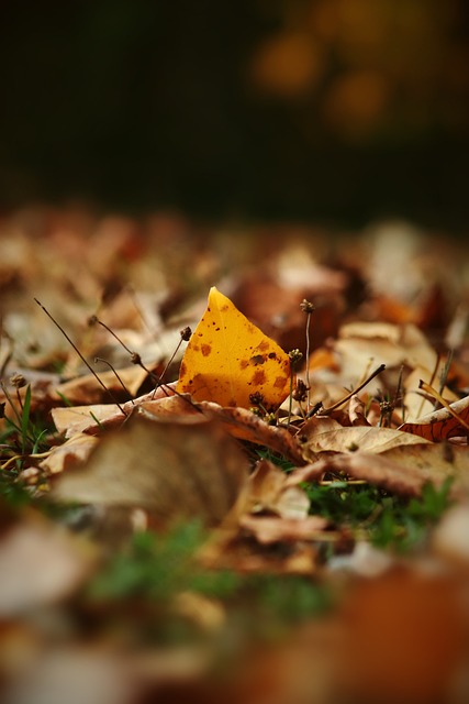 曼对目前球 曼对目前球