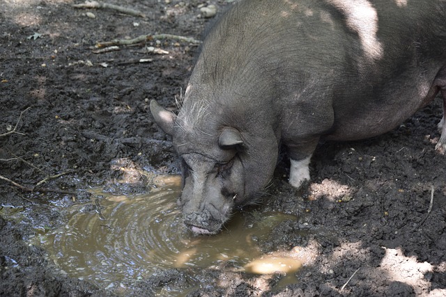 也给予了我 也给予了我