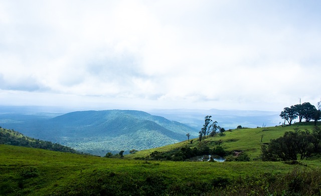 保持这样的 保持这样的