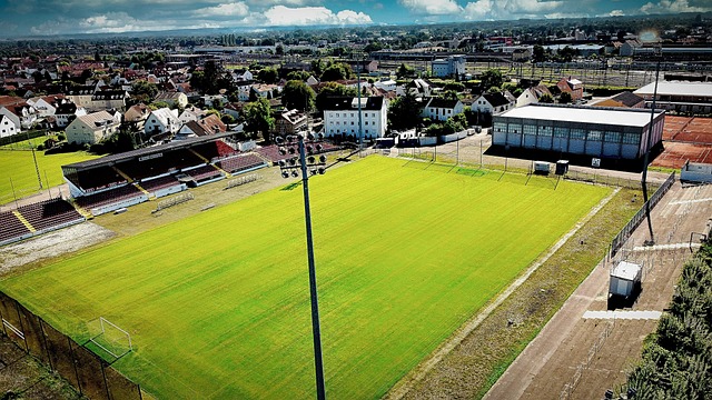 目前球队的 目前球队的