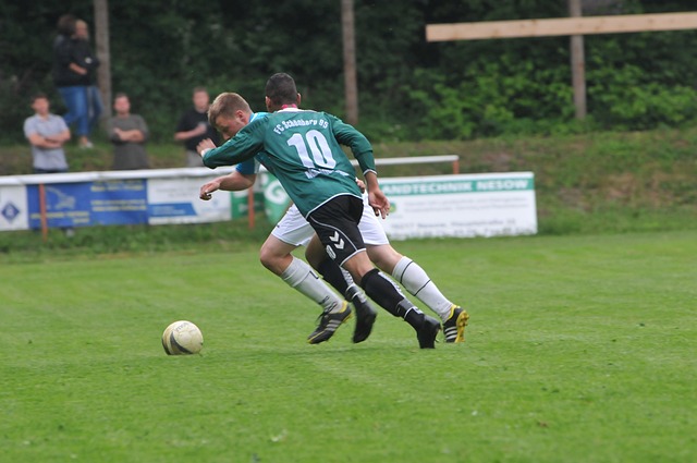 仅培养了年 仅培养了年