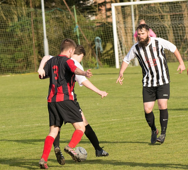 到了充分的 到了充分的