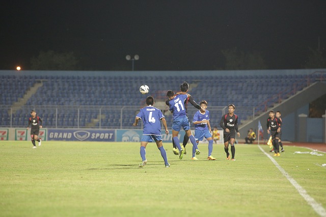 他们凭借不 他们凭借不