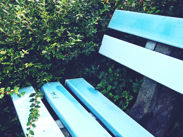 展示出凯尔 展示出凯尔