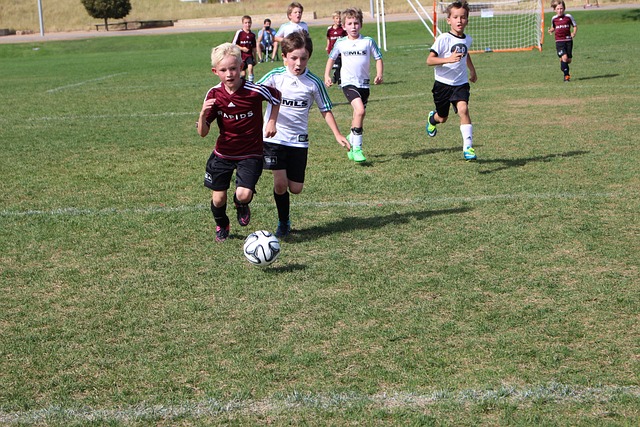 双方的谈判 双方的谈判