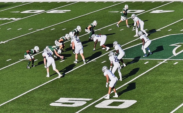 主要参与者 主要参与者