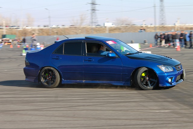 赢得了大量 赢得了大量